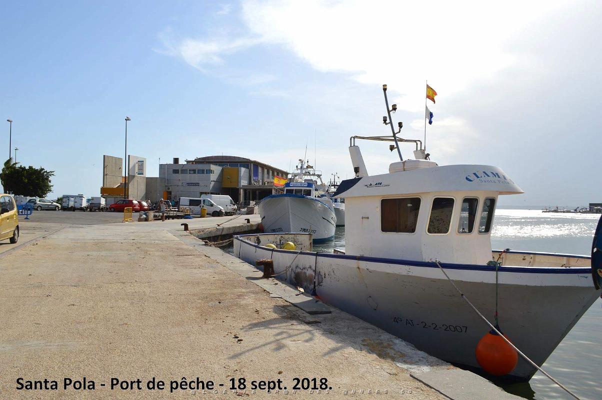 11 SANTA POLA PORT DE PECHE (40).JPG